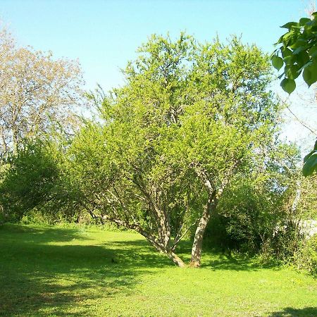 Chez Scallan B&B Sens sur Seille Zewnętrze zdjęcie