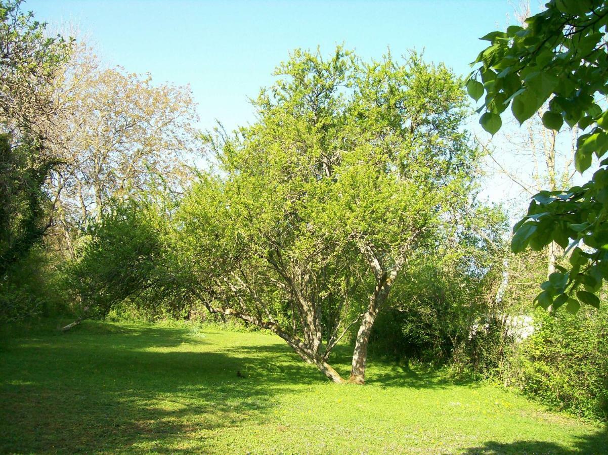 Chez Scallan B&B Sens sur Seille Zewnętrze zdjęcie